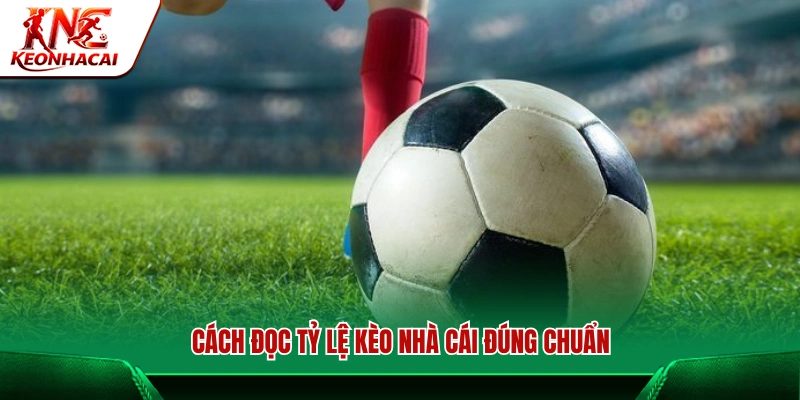 Hướng dẫn cách đọc tỷ lệ kèo chuẩn