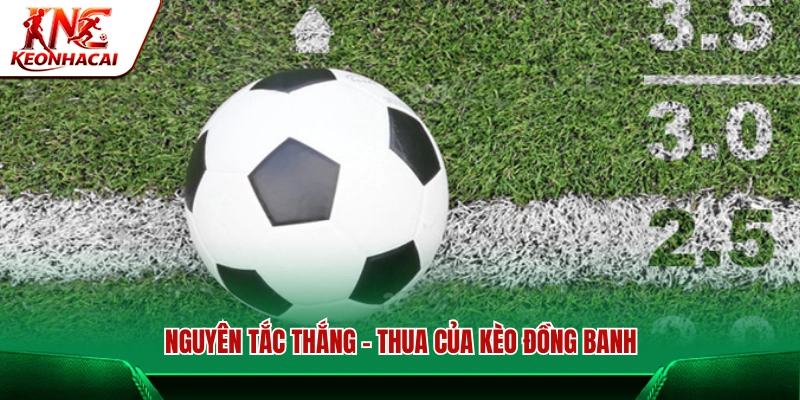 Quy định thắng thua của kèo đồng banh